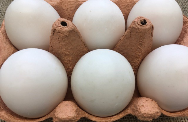 Box of Duck Eggs